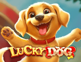 Lucky Dog